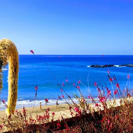 Adeje El Galeon Sea View Апартаменты Адехе