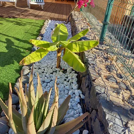 Appartamento Adeje El Galeon Sea View